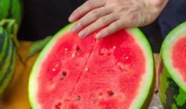 山东济南大学吃瓜,一场别开生面的校园文化盛宴