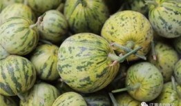 建安吃瓜,吃瓜群众眼中的三国传奇