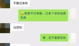 真实吃瓜聊天记录,一场关于娱乐圈的“幕后大戏”
