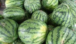 吃瓜哪头比较甜,哪一头更甜？