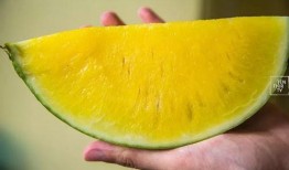 吃瓜无敌,揭秘娱乐圈幕后真相