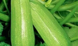 海瑞吃瓜,揭秘古代清官的休闲生活