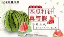 吃瓜直播主题,揭秘娱乐圈幕后风云