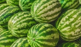 福州吃瓜后续事件,后续风波与公众反响揭秘