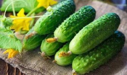 花吃瓜 78=,揭秘神秘数字背后的故事