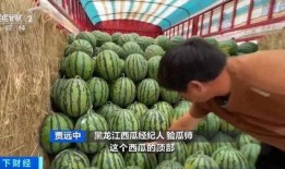 杨驰吃瓜,揭秘娱乐圈幕后故事