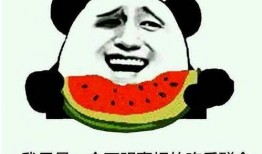 吃瓜 采访,一场别开生面的采访之旅