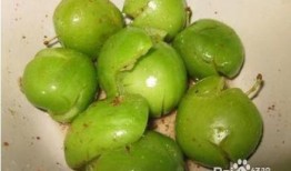 德昌县吃瓜,瓜果飘香，品味田园生活