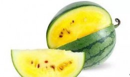 吃瓜吃的少,揭秘吃瓜少者的独特生活