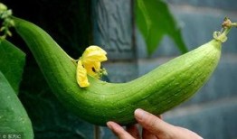 吃瓜避坑,轻松识别网络谣言，守护你的信息安全