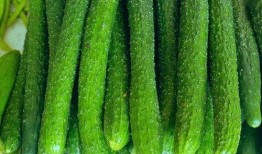 兴龙社吃瓜,揭秘娱乐圈背后的那些事儿