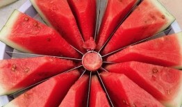 吃瓜大赛圆圈,一场全民狂欢的视觉盛宴