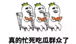 我疯狂吃瓜,揭秘疯狂吃瓜背后的故事