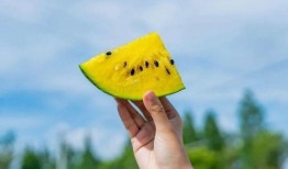 吃瓜著名打卡地,揭秘吃瓜群众的美食天堂