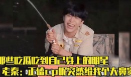 吃瓜 采访,一场别开生面的采访之旅