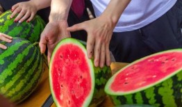 西瓜视频吃瓜盛宴,吃瓜盛宴，带你领略网络热点的狂欢时刻