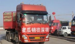 上将吃瓜,揭秘军营中的趣味生活瞬间