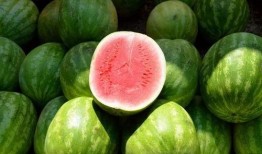 练完吃瓜,练完后的悠闲时光