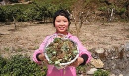 小八尘乡居吃瓜,瓜田里的悠闲时光