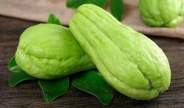 万源吃瓜,揭秘网络热点的背后真相