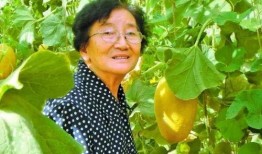 杨驰吃瓜,揭秘娱乐圈幕后故事