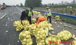 南召吃瓜群众,揭秘当地独特民俗风情