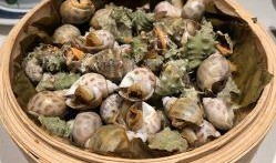 磐基吃瓜,揭秘娱乐圈背后的那些事儿