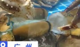 开膛破肚吃瓜,揭秘美食背后的惊悚故事