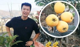 小八尘乡居吃瓜,瓜田里的悠闲时光