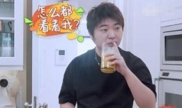 吃华晨宇瓜,揭秘明星背后的故事与成长