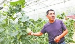 最新吃瓜村主任,揭秘吃瓜村的秘密风云