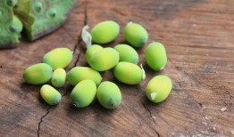 吃瓜吃到嘴软,揭秘娱乐圈幕后故事