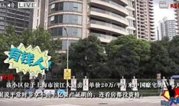 石家庄吃瓜群众保利