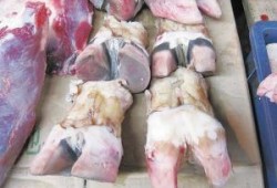 牛大瓜吃牛蹄,一场别开生面的美食之旅