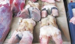 牛大瓜吃牛蹄,一场别开生面的美食之旅