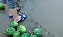 河边吃瓜的,吃瓜群众的日常趣事