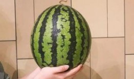 花吃瓜 78=,揭秘神秘数字背后的故事