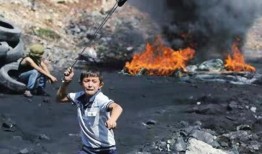 吃瓜群众以色列,瓜田里的“中东奇迹”