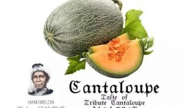 在梦里摘瓜吃瓜好不好,摘瓜吃瓜的奇妙体验解析