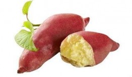 孕妇可以吃土瓜吗,土瓜的适宜与禁忌