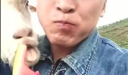 大庆哥系列吃瓜,揭秘娱乐圈吃瓜背后的真相与笑料