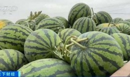 成都的吃瓜自己成了瓜,意外成为全民焦点瓜王