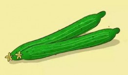 头像吃瓜小孩,揭秘吃瓜小孩的欢乐时光