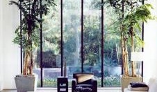 英国落地窗吃瓜,居民家中落地窗成“吃瓜群众”聚集地