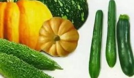 呆六吃瓜,揭秘娱乐圈那些不为人知的幕后故事