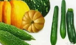 吃瓜tian,揭秘娱乐圈的幕后故事