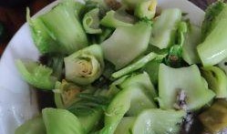 新鲜葫芦瓜老瓜怎么吃,美味食法大揭秘