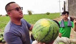 孟西吃瓜,揭秘娱乐圈背后的那些事儿