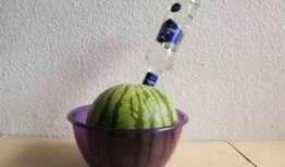 宅人吃瓜,揭秘网络热点的幕后故事