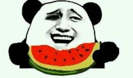 头条吃瓜,头条吃瓜背后的真相与内幕